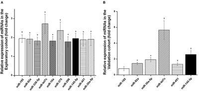 Relationship Between Circulating MicroRNAs and Left Ventricular Hypertrophy in Hypertensive Patients